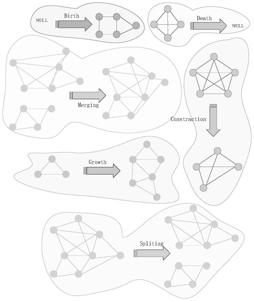 Dynamic community discovery method for phylogenetic transplantation partition sequential network