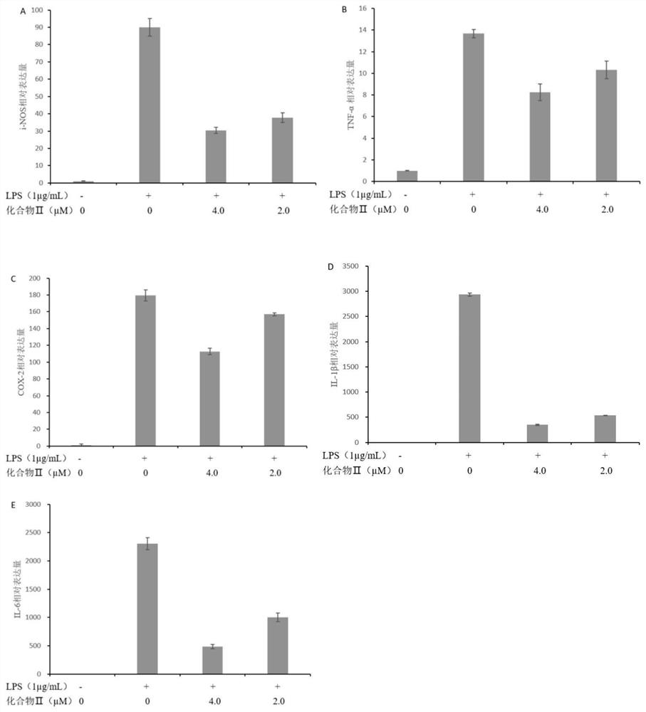 A kind of 1,4-naphthoquinone compound derived from mangrove endophytic fungi, its preparation method and its application in the preparation of anti-inflammatory drugs