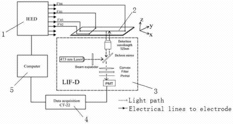 Method for detecting content of glutathione (GSH) in each cell by using microfluidic chip based laser induced fluorescence system