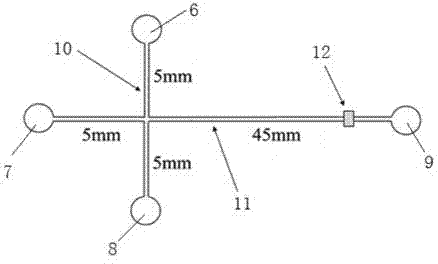 Method for detecting content of glutathione (GSH) in each cell by using microfluidic chip based laser induced fluorescence system