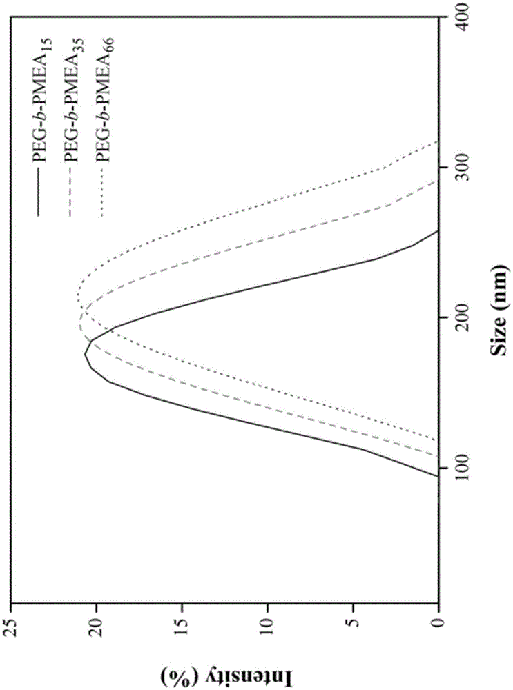 Synthesis method and application of a kind of methacrylamide orthoester monomer and acid-sensitive amphiphilic block copolymer thereof