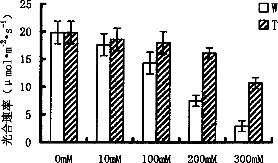 Cotton Na+/H+ reverse transport protein gene and its cloning method and application