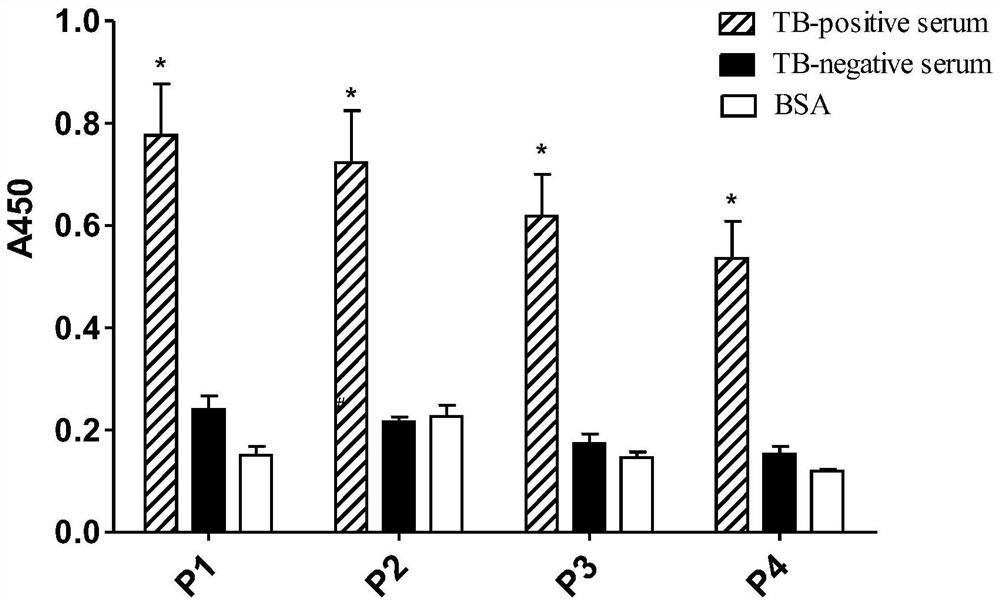 Applications of Mycobacterium tuberculosis protein