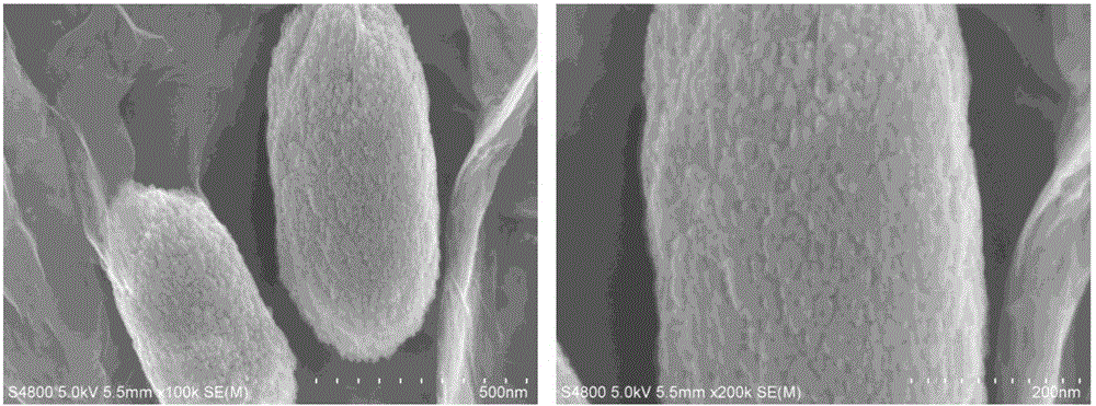 Silkworm-chrysalis-shaped PbS quantum dot/graphene composite material and preparation method thereof