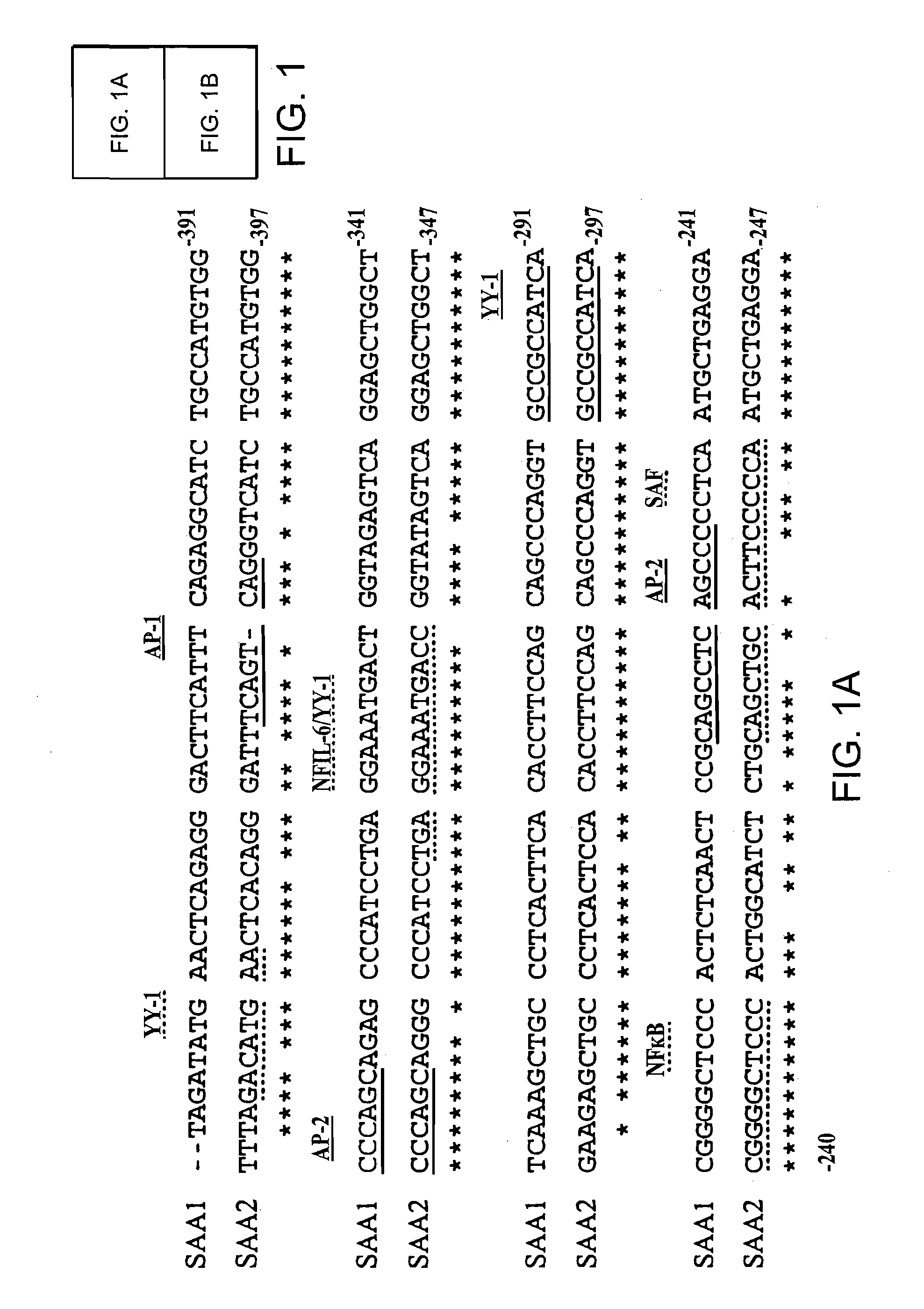 Methods for determining drug responsiveness