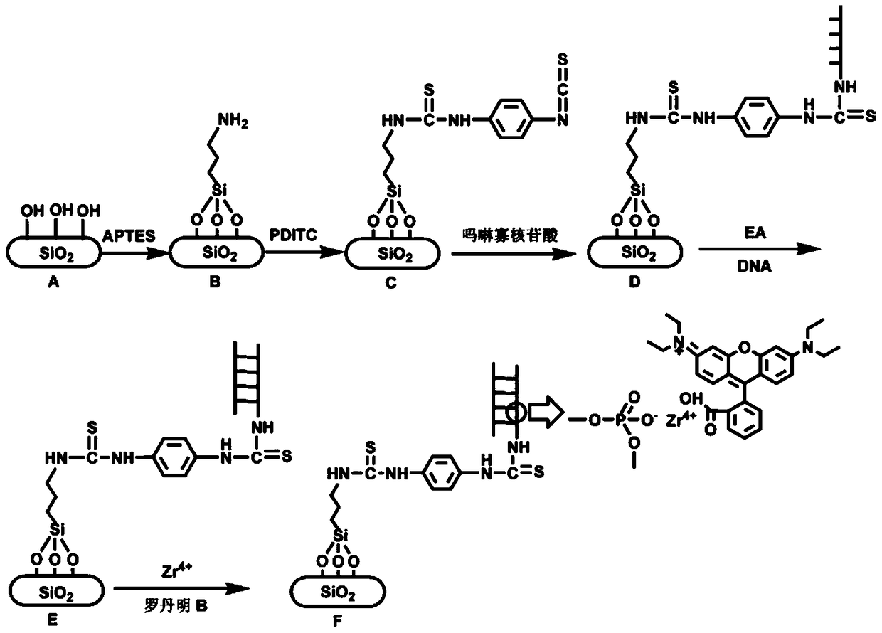 A highly selective DNA fluorescence analysis method based on morpholino oligonucleotide functionalized silicon chip