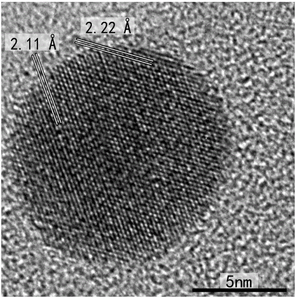 Alloy nano-particle preparation method based on protein reduction method