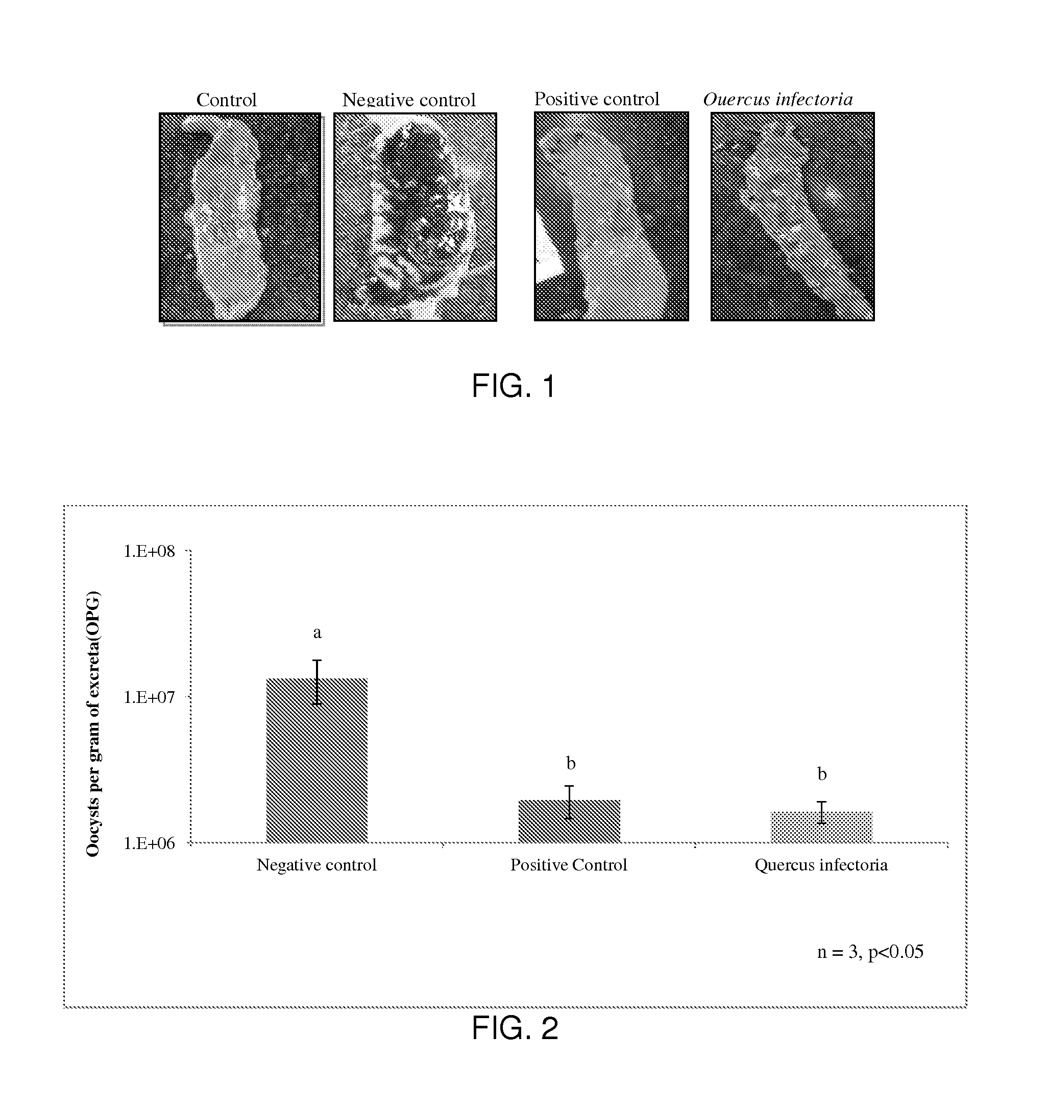 Plant Parts and Extracts Having Anticoccidial Activity
