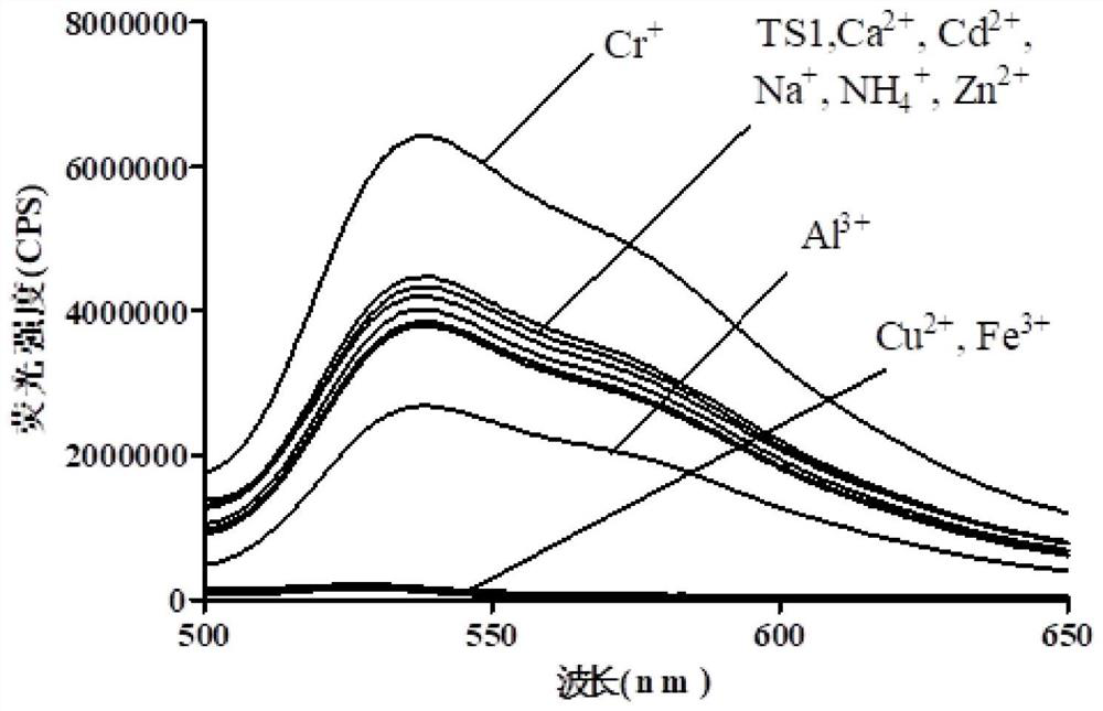 A tetrastyryl cationic fluorescent probe and its preparation method and application