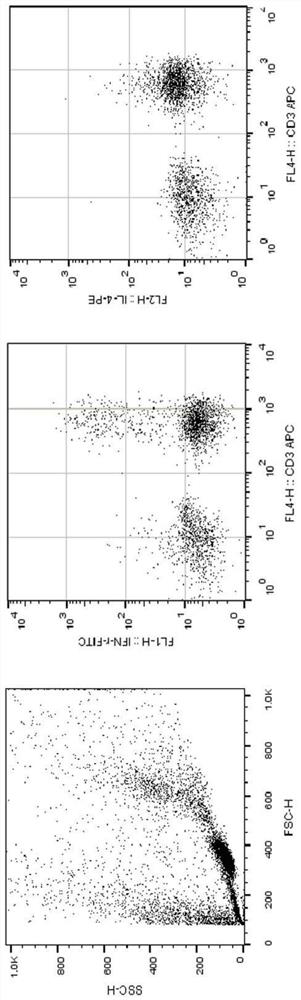 Reagents and analytical methods for permeabilizing and fixing blood cells