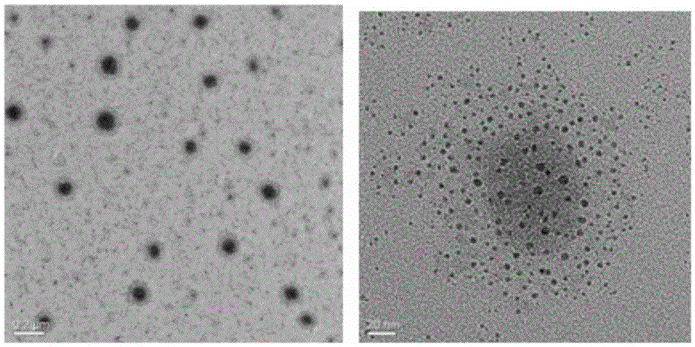 Metal nano-particle with stable internal cross-linked micelles, method for preparing metal nano-particle and application of metal nano-particle to catalysis