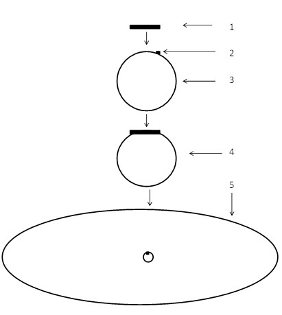 Recombined yeast strain expressing cellulase and applications thereof