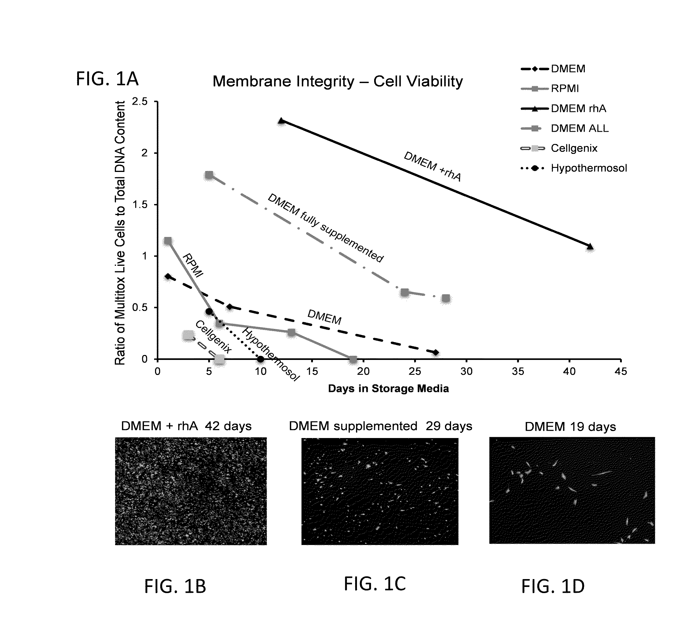 Method and Composition for Hypothermic Storage of Placental Tissue