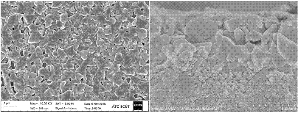 Selenizing method for copper-zinc-tin-sulfur thin film