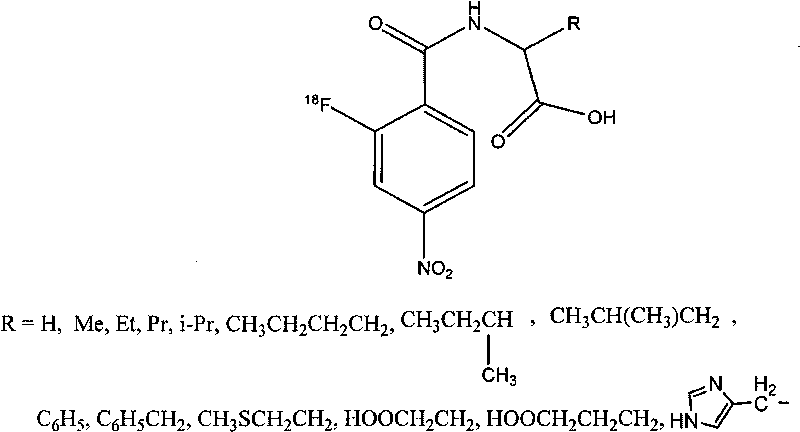 Novel 18F labeled p-nitro benzoyl amino acid compound and preparation method and application thereof