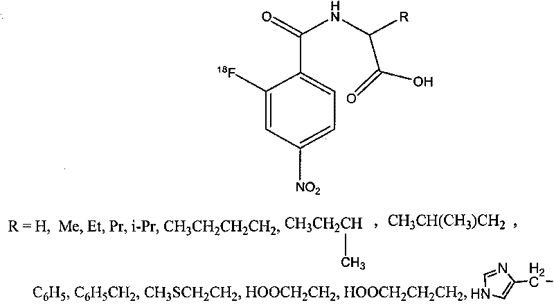 Novel 18F labeled p-nitro benzoyl amino acid compound and preparation method and application thereof