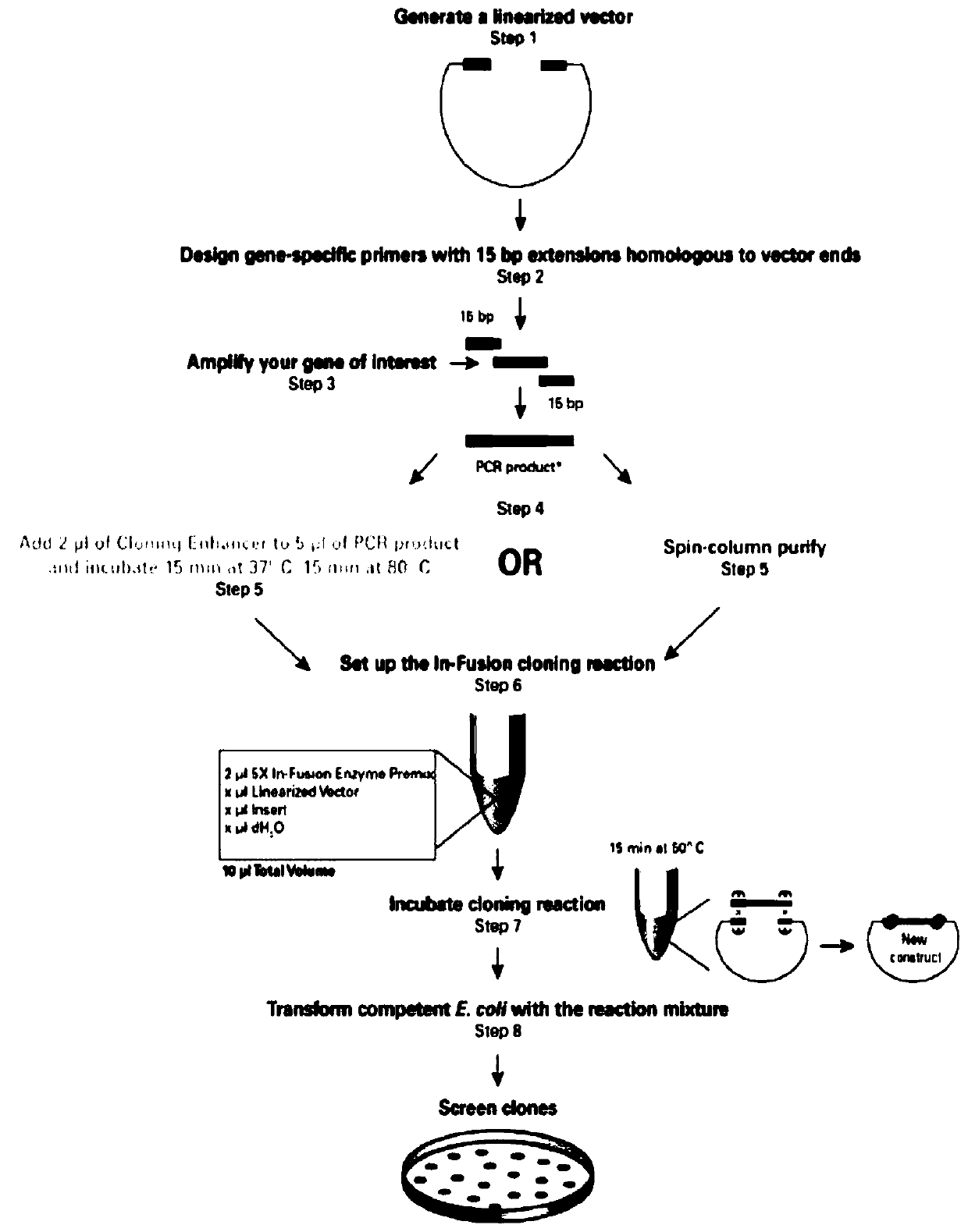 HIV drug resistance detection carrier and construction method