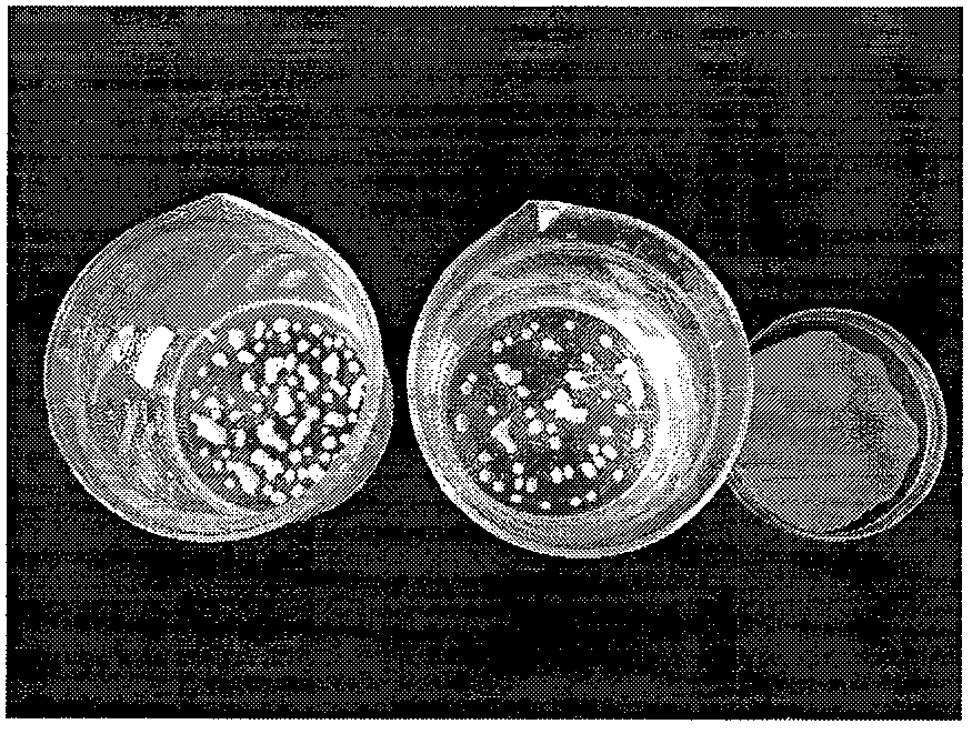 Silk fibroin peptide chain-containing AlaGlyAlaGly polyurethane fiber film and preparation method thereof