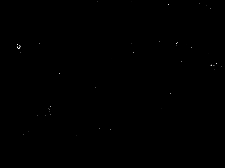 Application of glucalogue in preparing medicaments for treating or preventing cell death and diseases