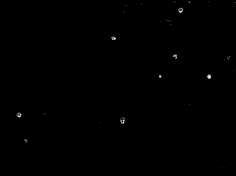 Application of glucalogue in preparing medicaments for treating or preventing cell death and diseases