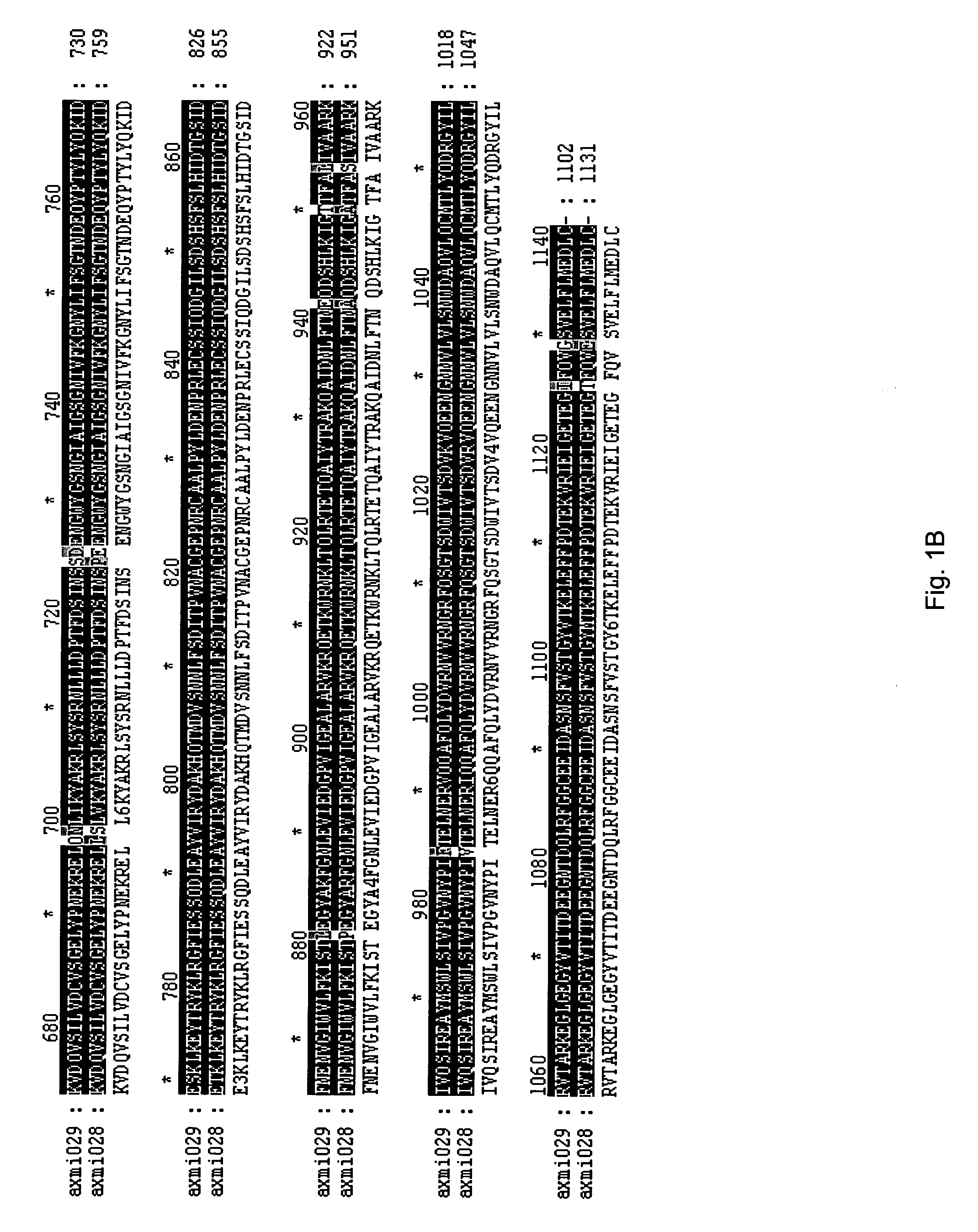 AXMI-028 and AXMI-029, a family of novel delta-endotoxin genes and methods for their use