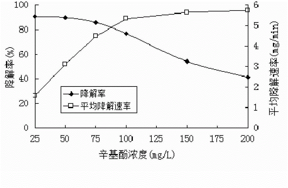 Method for degrading octyl phenol by utilizing laccase