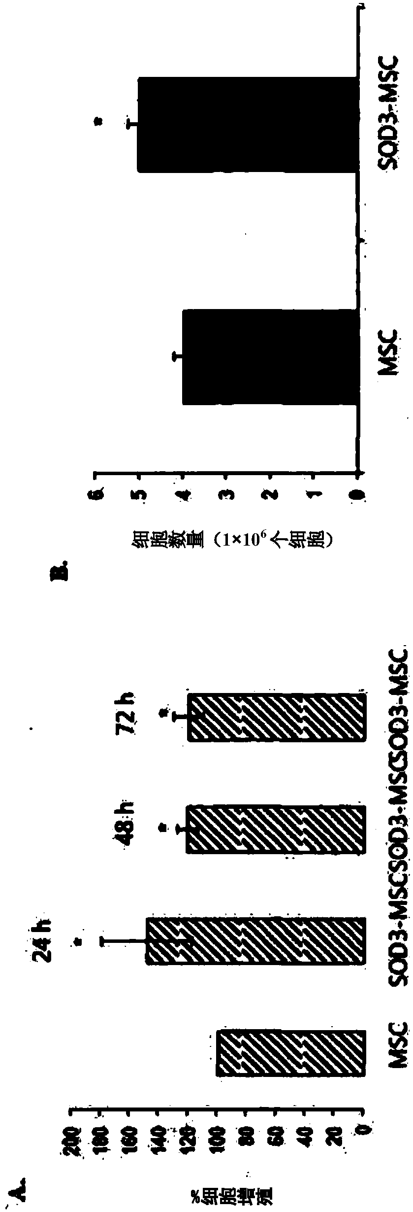 Composition for preventing or treating inflammatory diseases, containing, as active ingredient, stem cells overexpressing sod3