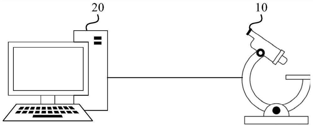 Counting method, device and equipment for cells in container and storage medium