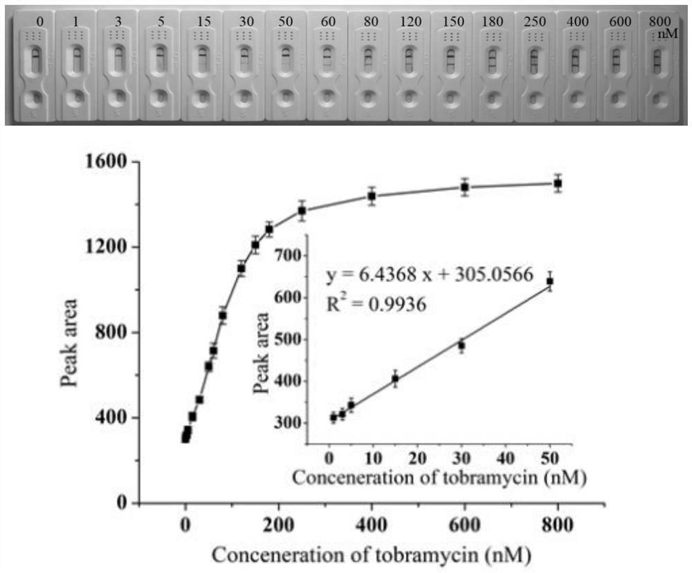 Tobramycin detection test paper based on aptamer and platinum modified gold nanoparticles