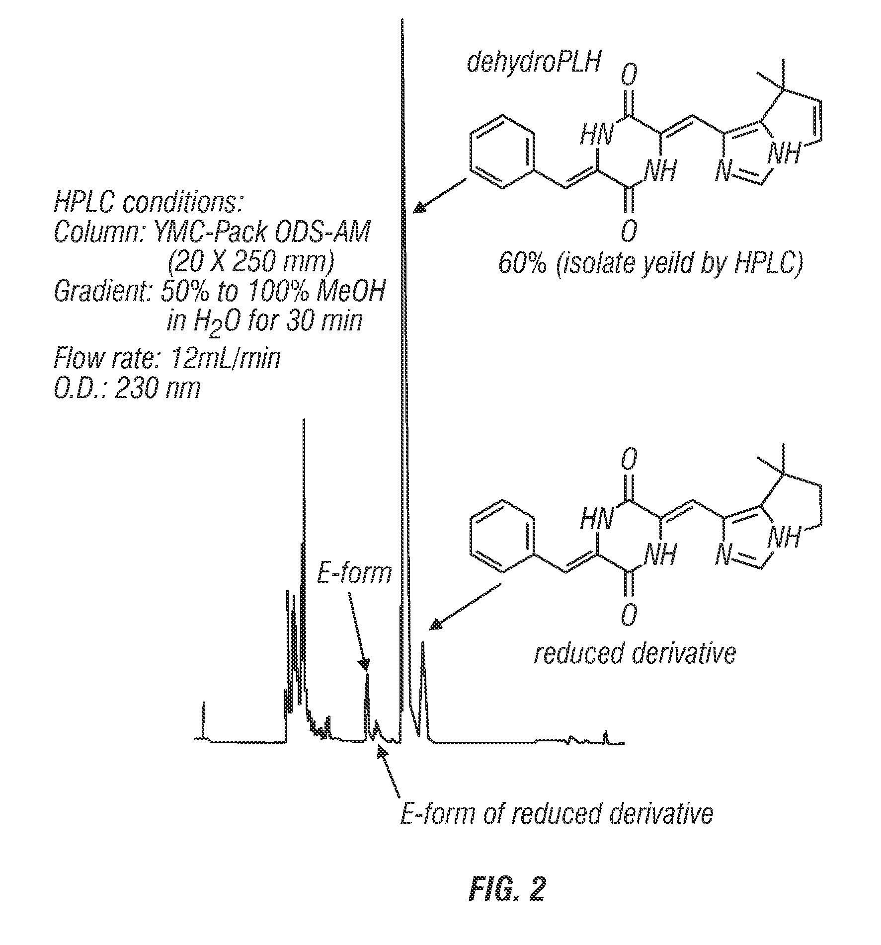Analogs of dehydrophenylahistins and their therapeutic use