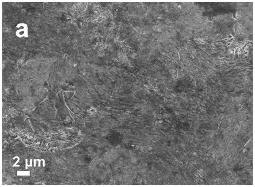 Electrolyte for aqueous zinc ion battery and application thereof