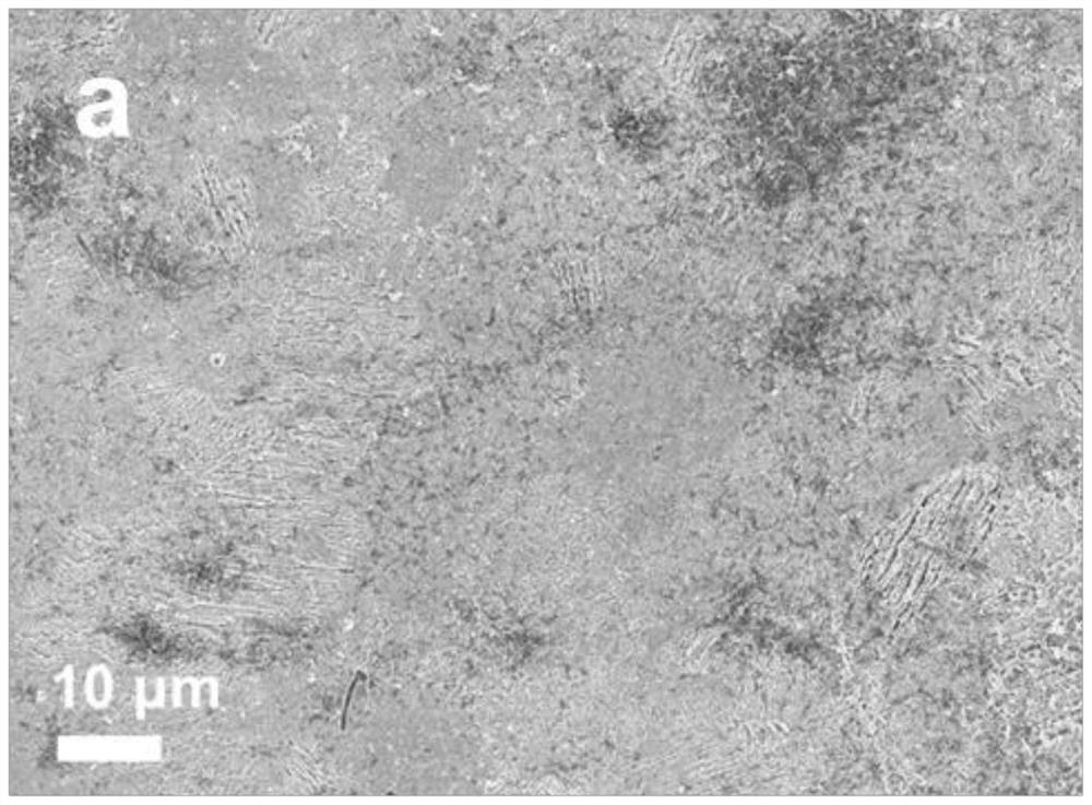 Electrolyte for aqueous zinc ion battery and application thereof