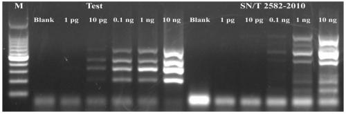 Primer set, kit and detection method for multiplex PCR detection of aflatoxin-producing fungi