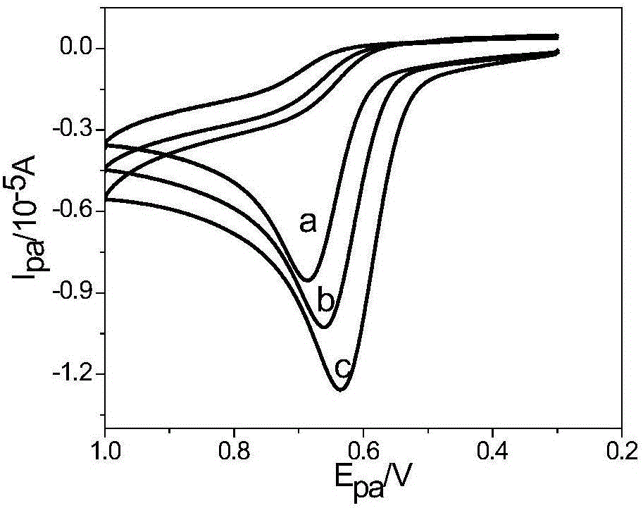 Ionic liquid functional carbon nitride nanosheet modified electrode as well as preparation and application of electrode in chlorphenol detection