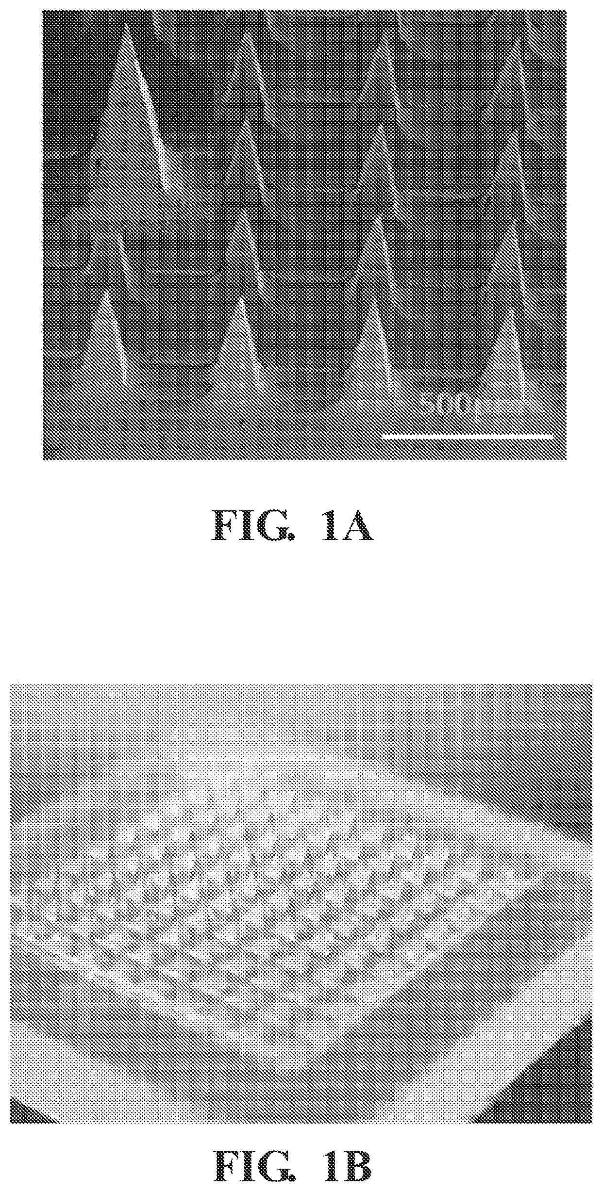 Polymer microneedle mediated drug delivery