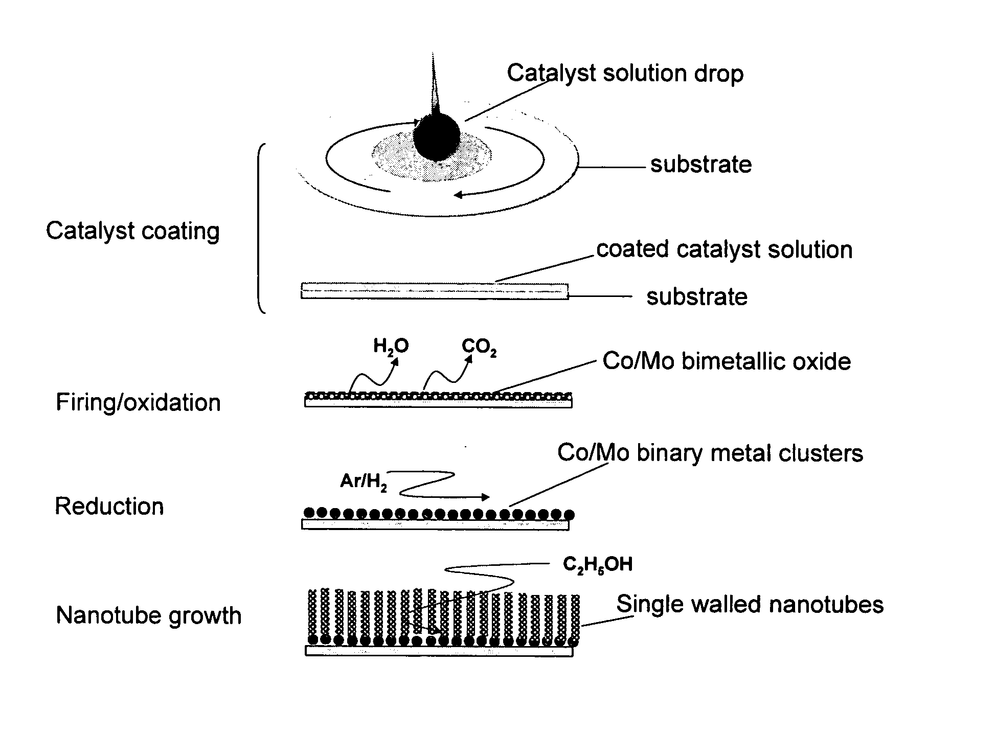 Array of single-walled carbon nanotubes and process for preparaton thereof