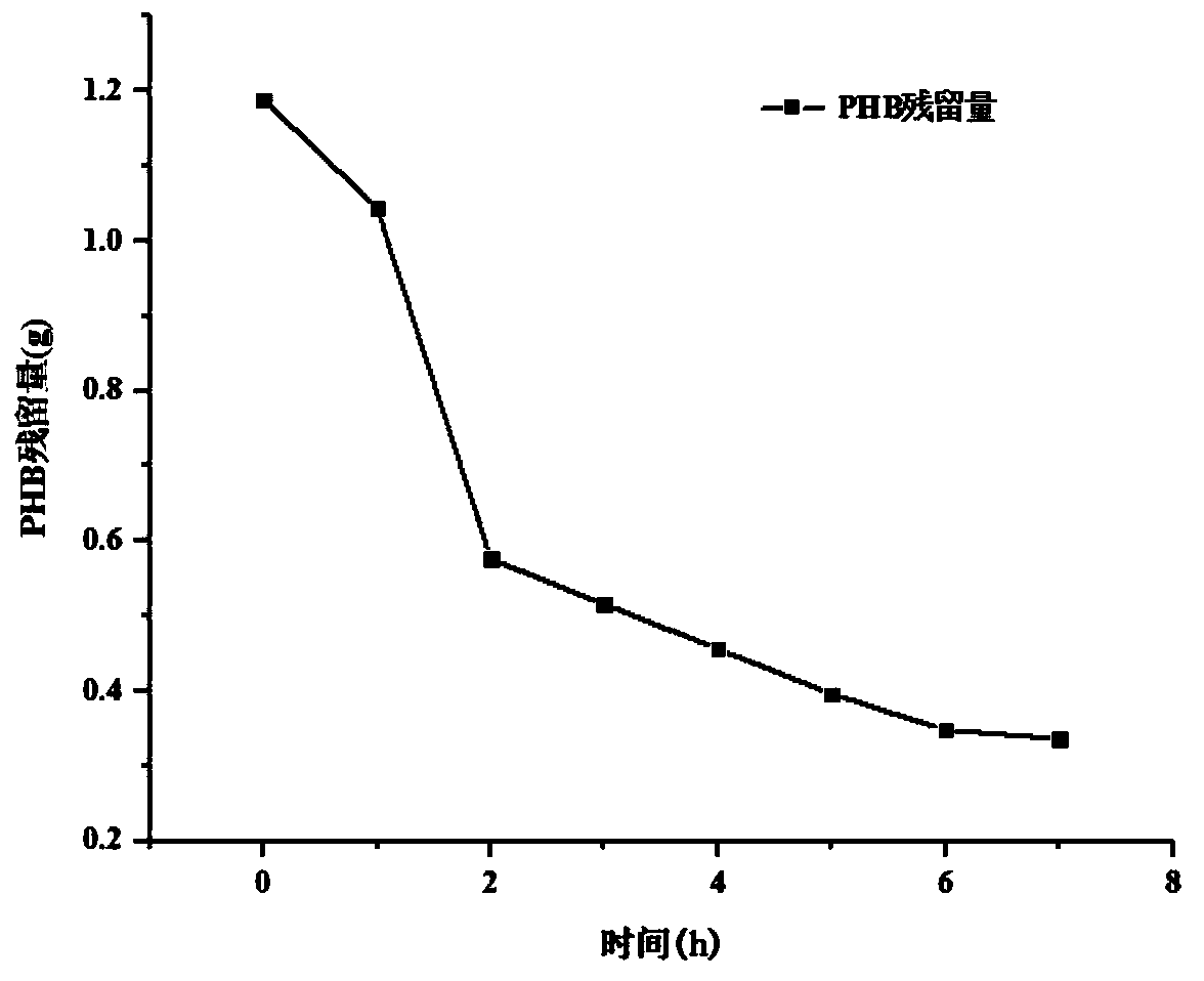 Method for producing high-purity (R)-(-)-3-hydroxybutyric acid by adopting enzymatic method