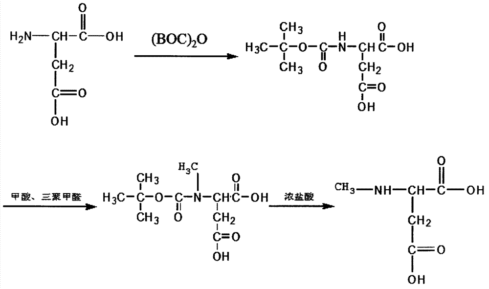 Synthesis of N-methyl-D-aspartic acid