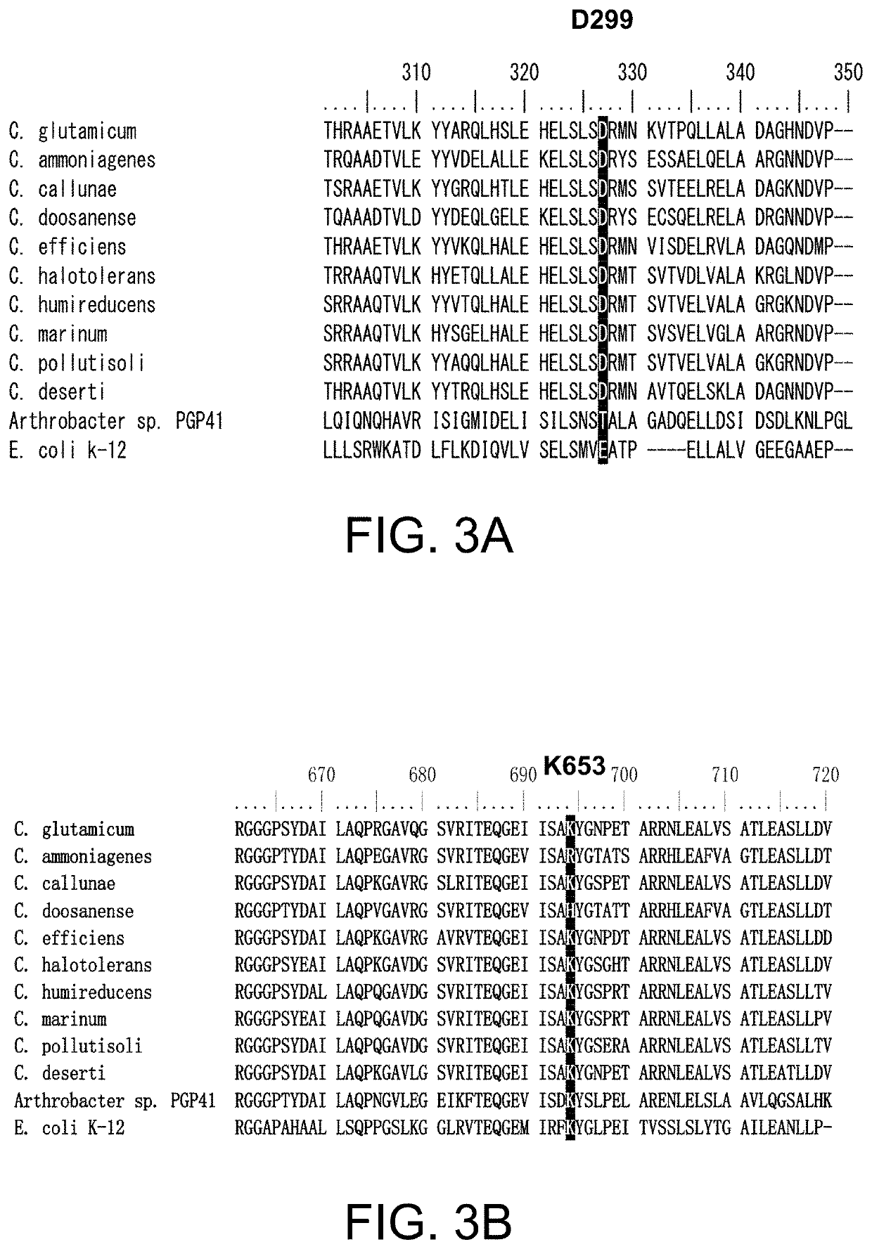 Genetically modified microorganism and method for producing target substance using same