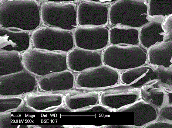 A rapid method for preparing silica/wood composites