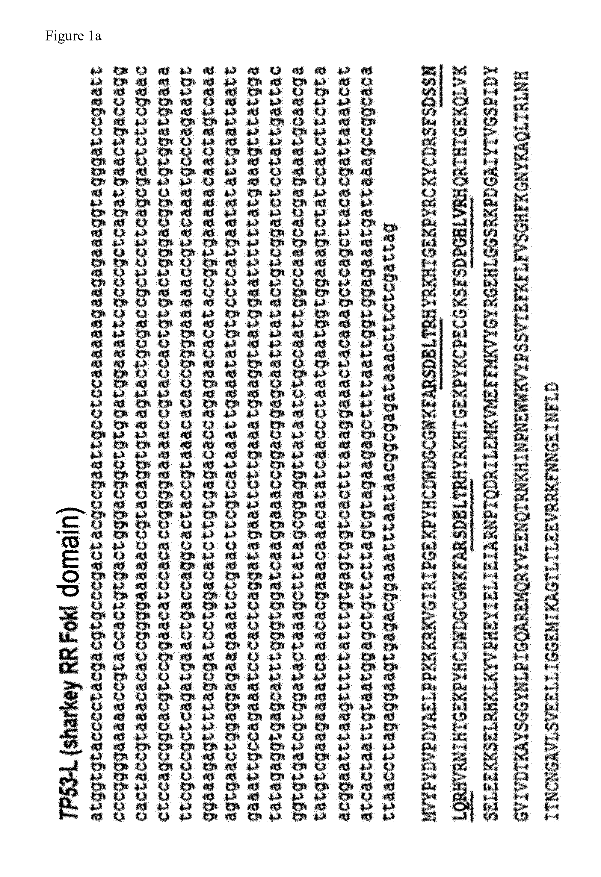Method for concentrating cells that are genetically altered by nucleases