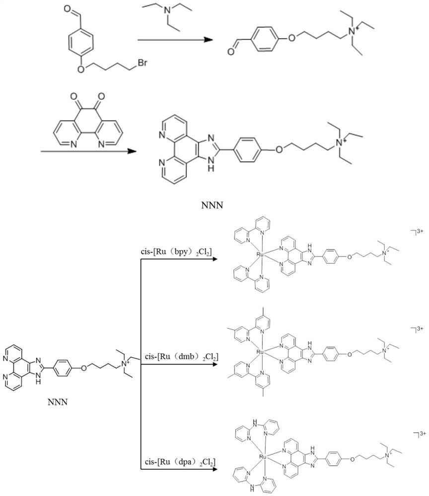 Ruthenium polypyridine complex with triethylamine structure as well as preparation method and application of ruthenium polypyridine complex
