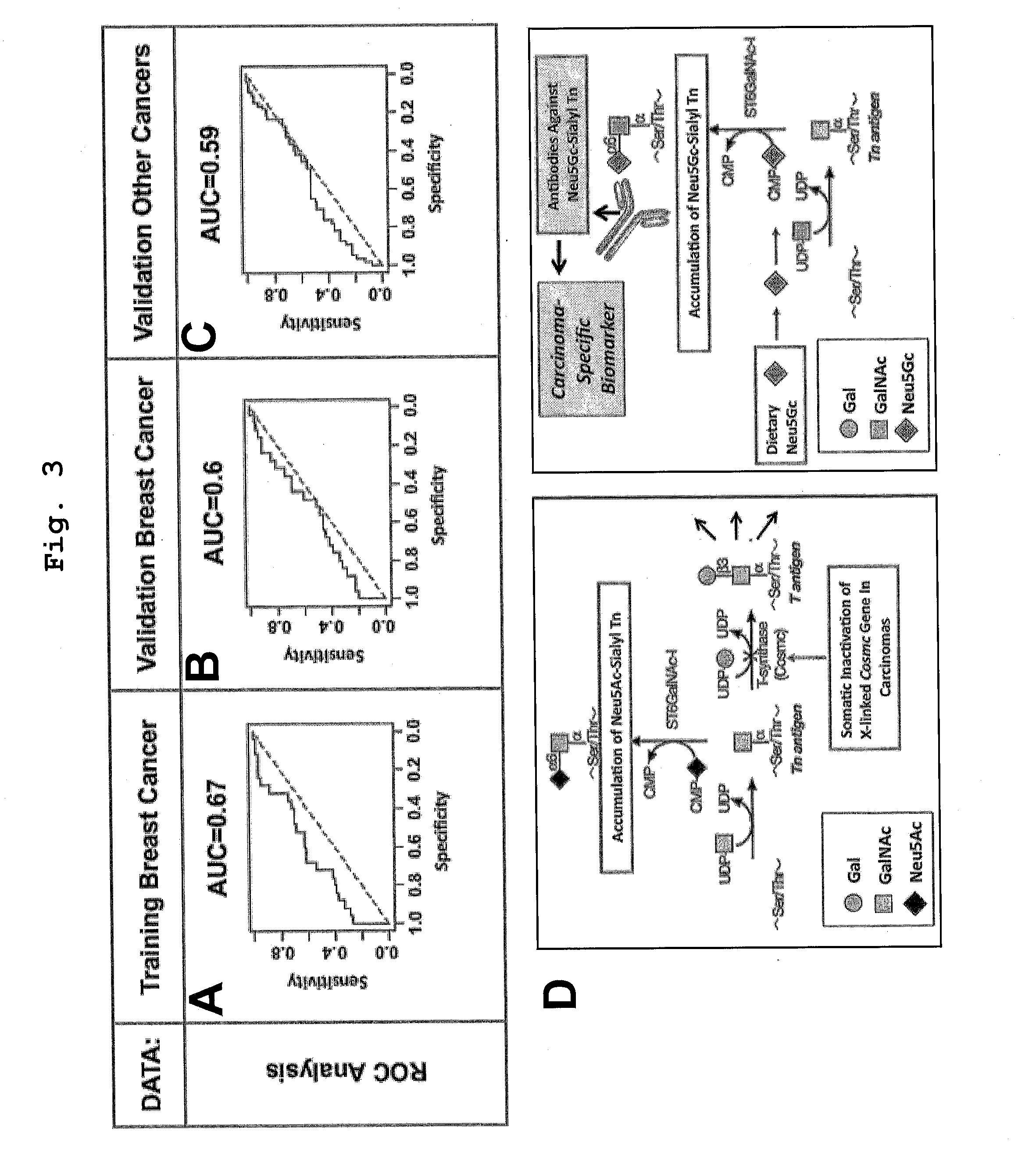Compositions and methods for detecting cancer