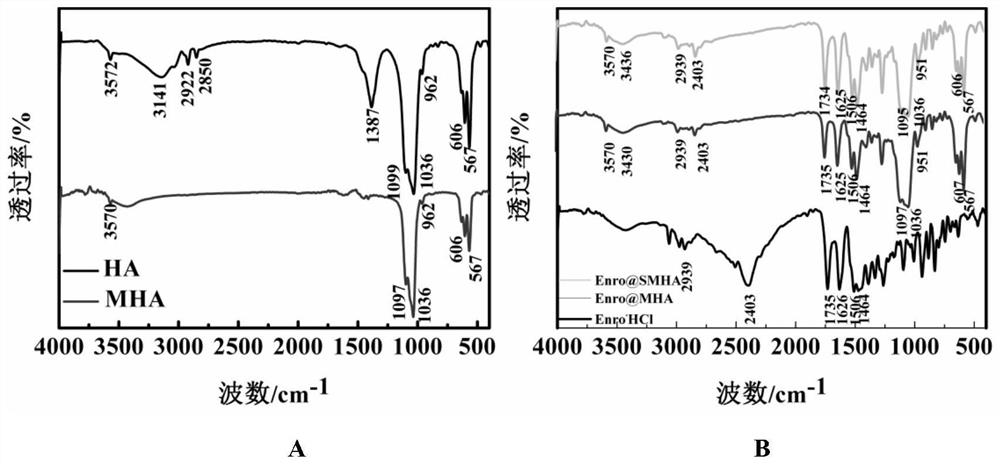 Drug-loaded modified mesoporous hydroxyapatite biomedical composite material suitable for 3D printing, preparation method and application thereof