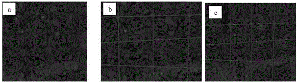 Testing device and method for simulating ground loss triggered by subway shield tunnel stratum cavity