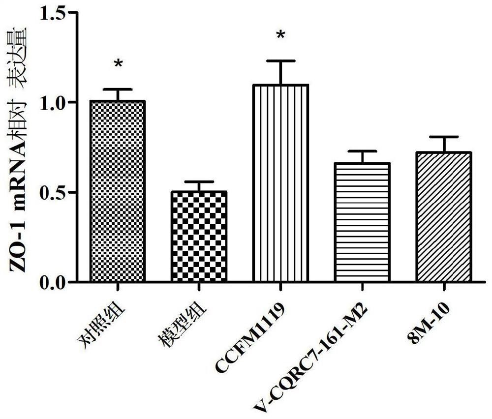 Medicine for relieving alcoholic intestinal injury