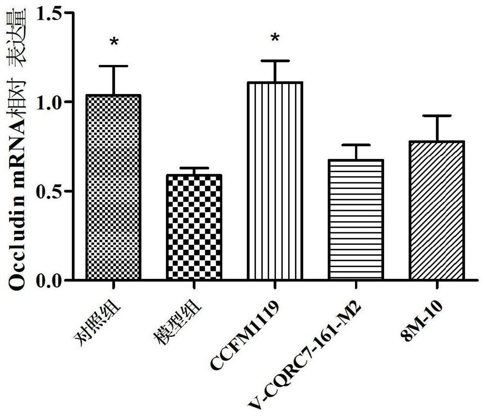 Medicine for relieving alcoholic intestinal injury