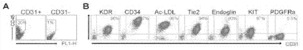 Preparation method for hematopoietic progenitor cells and special medium for same