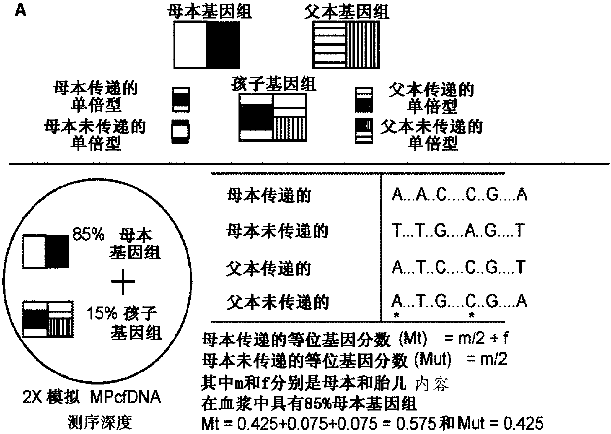 Accurate molecular deconvolution of mixtures samples