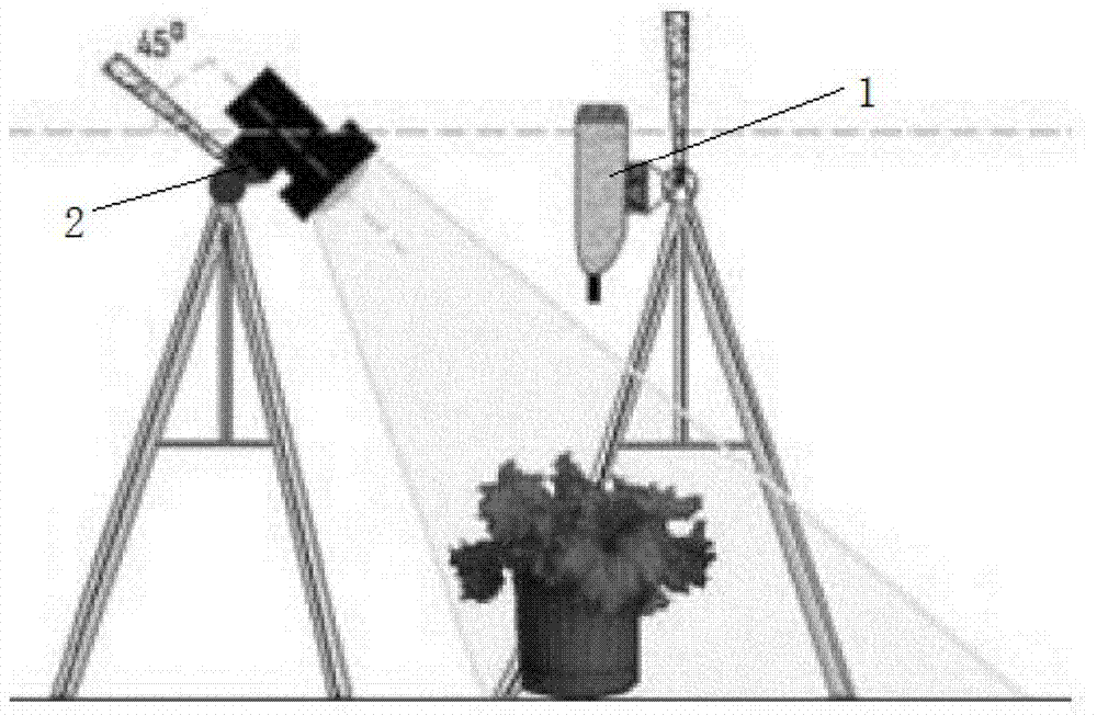 Method for detecting canopy moisture content of leaf vegetable crops